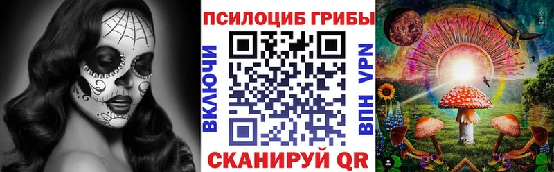 Галлюциногенные грибы ЛСД  Елизово 