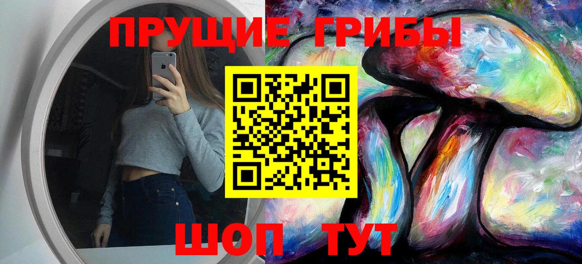 Псилоцибиновые грибы Cubensis  Елизово  Псилоцибиновые грибы мухоморы 