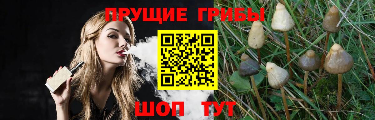 Псилоцибиновые грибы мицелий Елизово