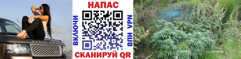 Бошки марихуана AK-47  Елизово 